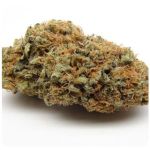 Шишки AK47  (Гидропоника, Бошка) VHQ в Уварово